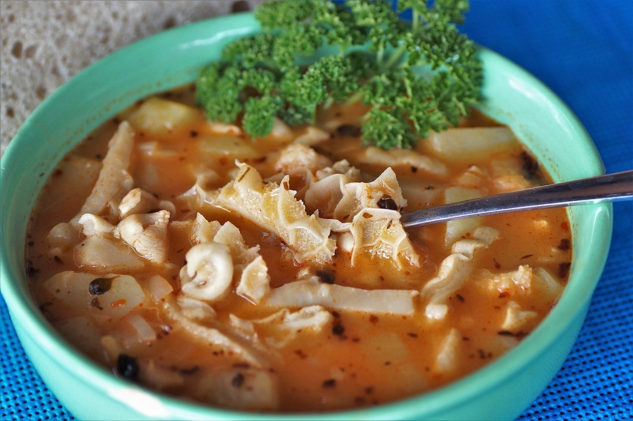 food pacal tripe stew