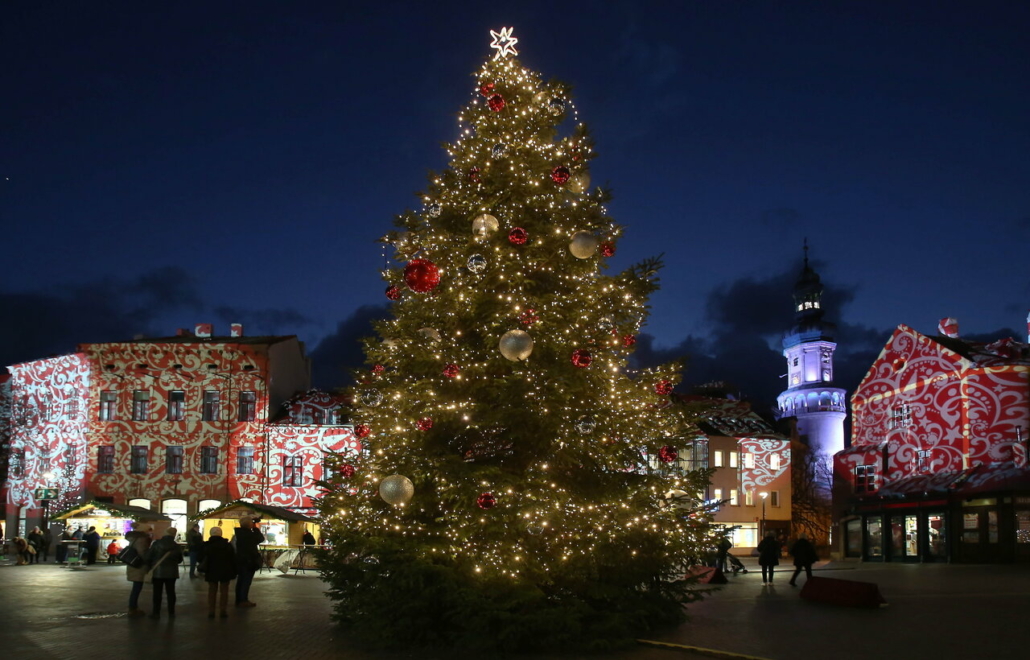 Christmas-tree-Sopron