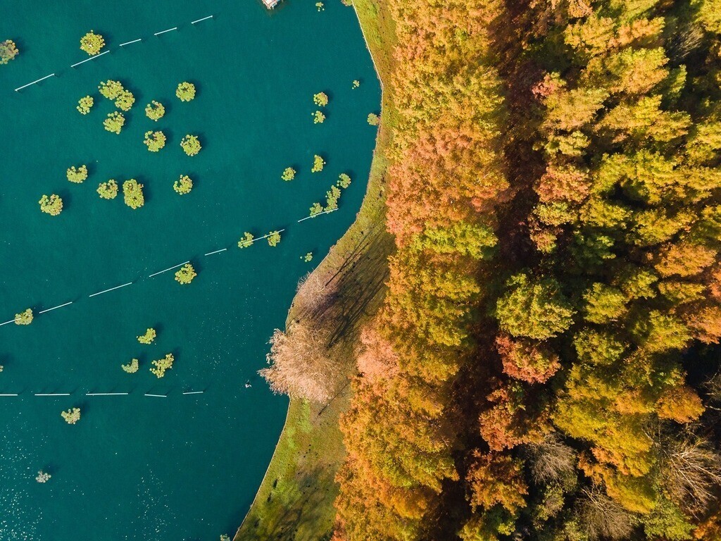 Lake Hévíz-Hungary