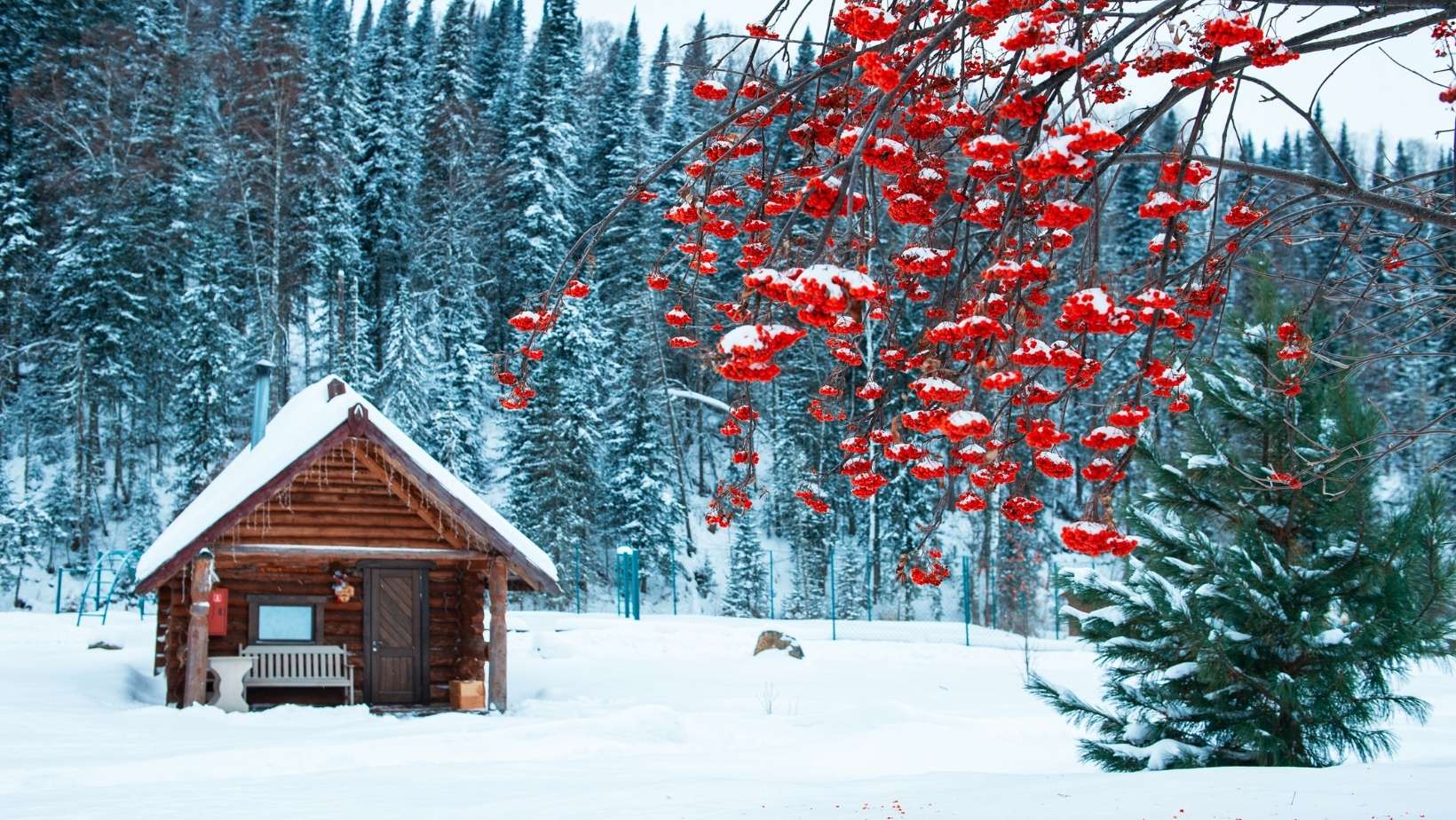 best place to celebrate New Year's Eve wooden cabin