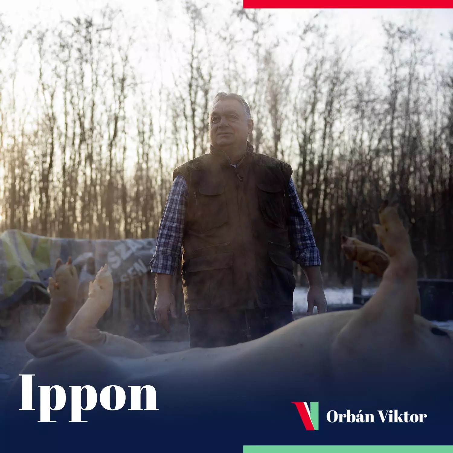 Pig Slaughter Viktor Orbán 1