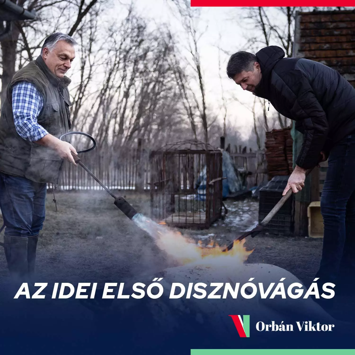 Pig Slaughter Viktor Orbán 3