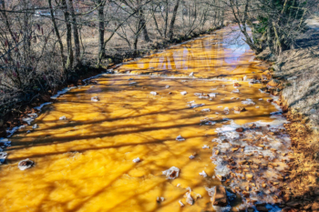 Environmental catastrophe River Sajó Slovakia Hungary