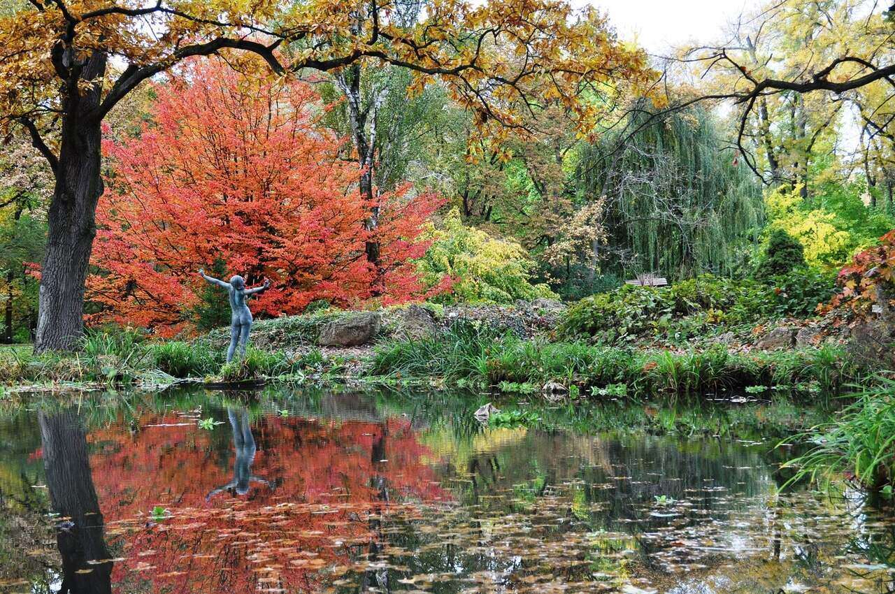 A tökéletes tavaszi terv: Látogassa meg Szeged gyönyörű botanikus kertjét – fotók
