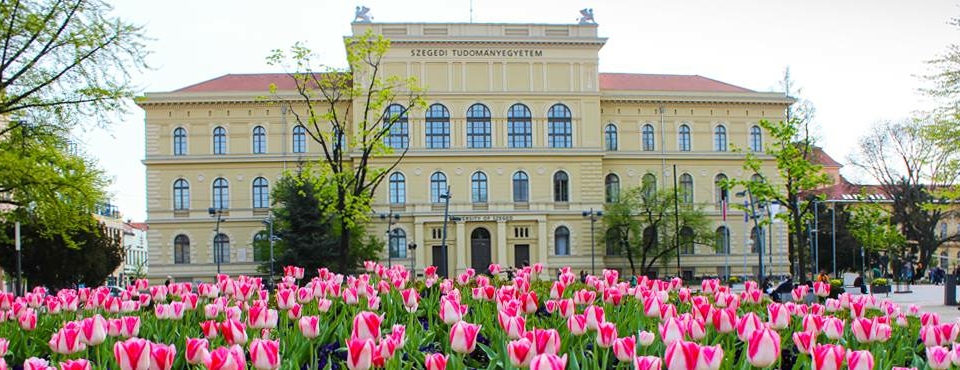 Szeged university