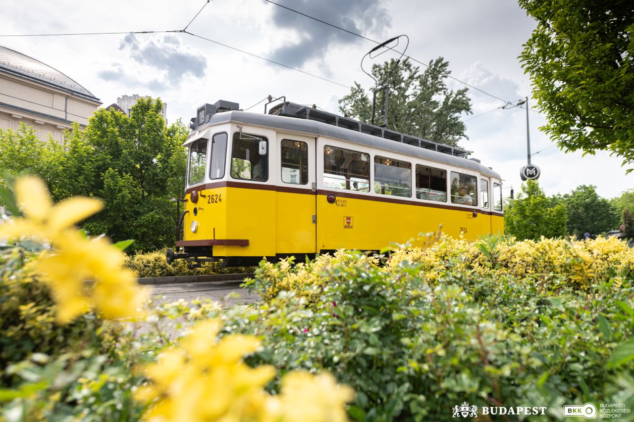 Цветы и трамвай Будапешт