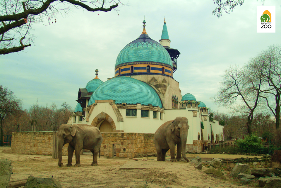 elephants and minaret