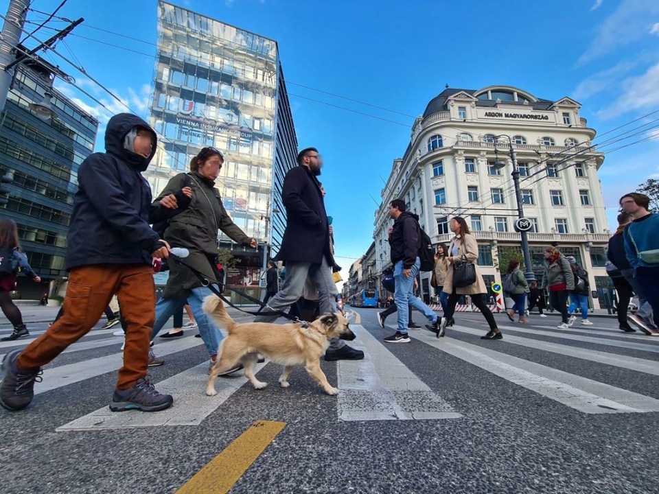 Budapest Ungarn Menschen Bürger Straße Wettbewerbsfähigkeit EU
