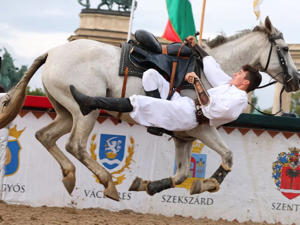 Hungary equestrians of Győr