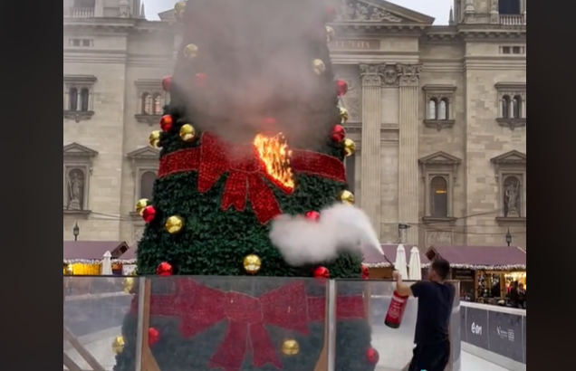 Christmas tree burned Advent Bazilika market