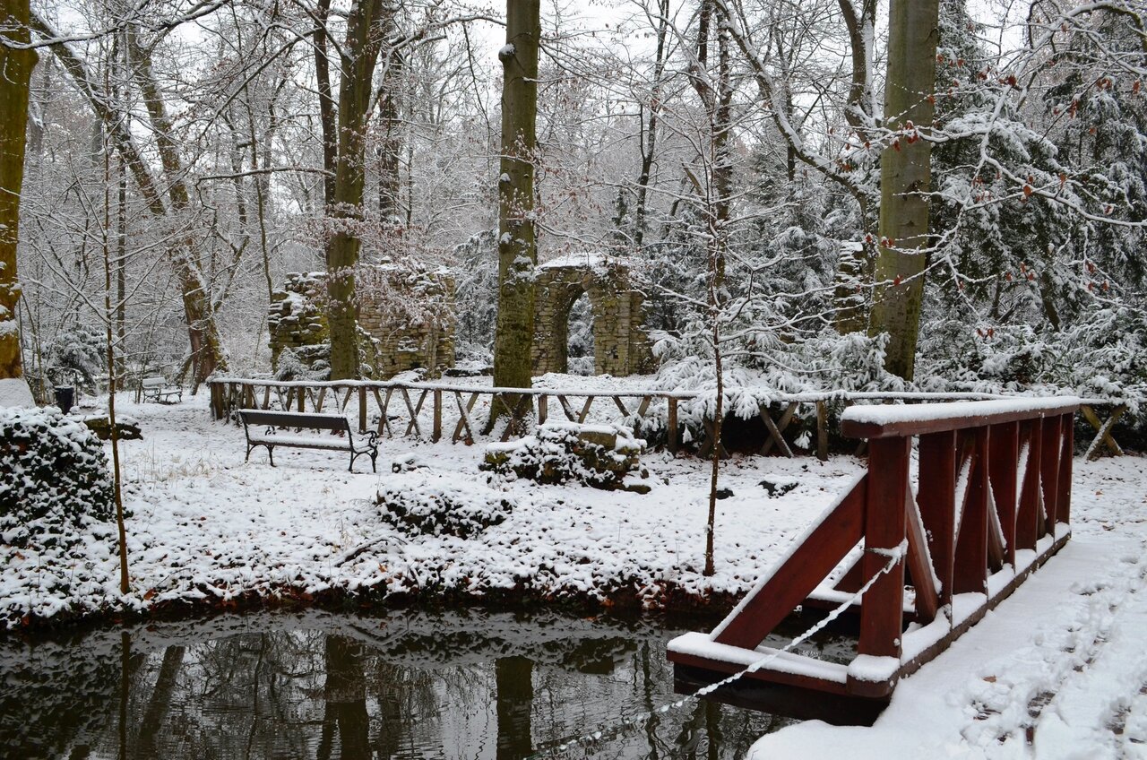 botanic garden, winter, cold, destination, Vácrátót