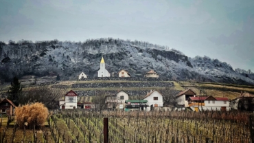 Vignoble de Somló, la plus petite région viticole de Hongrie