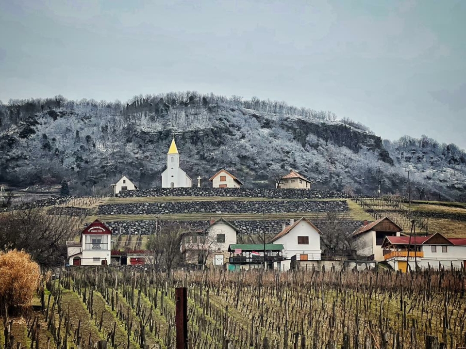 Somló vineyard, the smallest wine region of Hungary