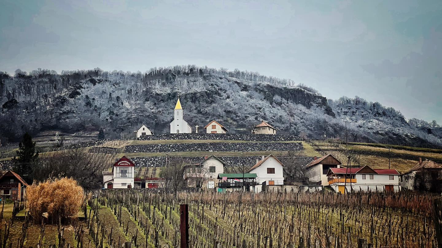 Виноградник Сомло, самый маленький винодельческий регион Венгрии.