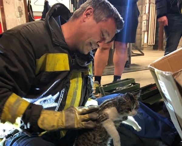 пожарный, спасти, кошка, бедствие