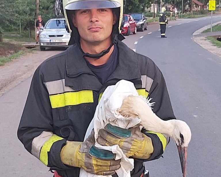stork, firefighter, save