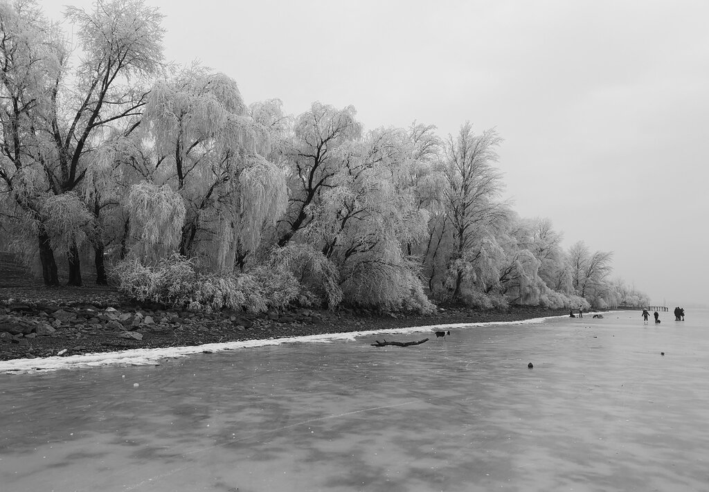 Theiß-See Winter