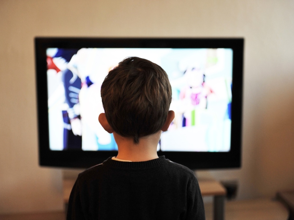 En Hungría se lanza un nuevo canal de televisión con la serie húngara Protección infantil