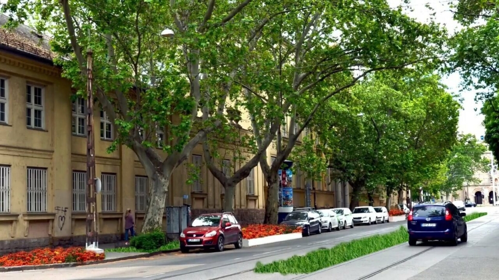 budapest mester street greening főkert