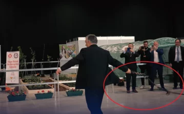 PM Orbán whip