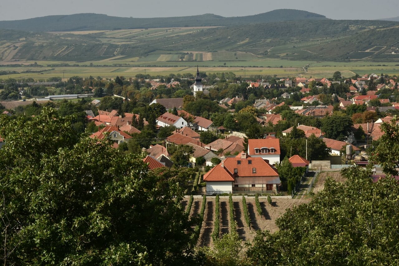 Región vinícola de Tokaj