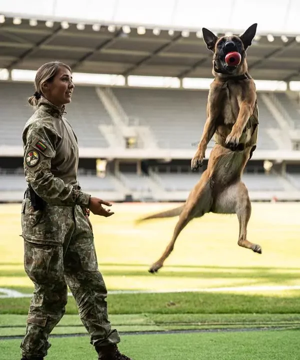 Hungarian dog handlers NATO
