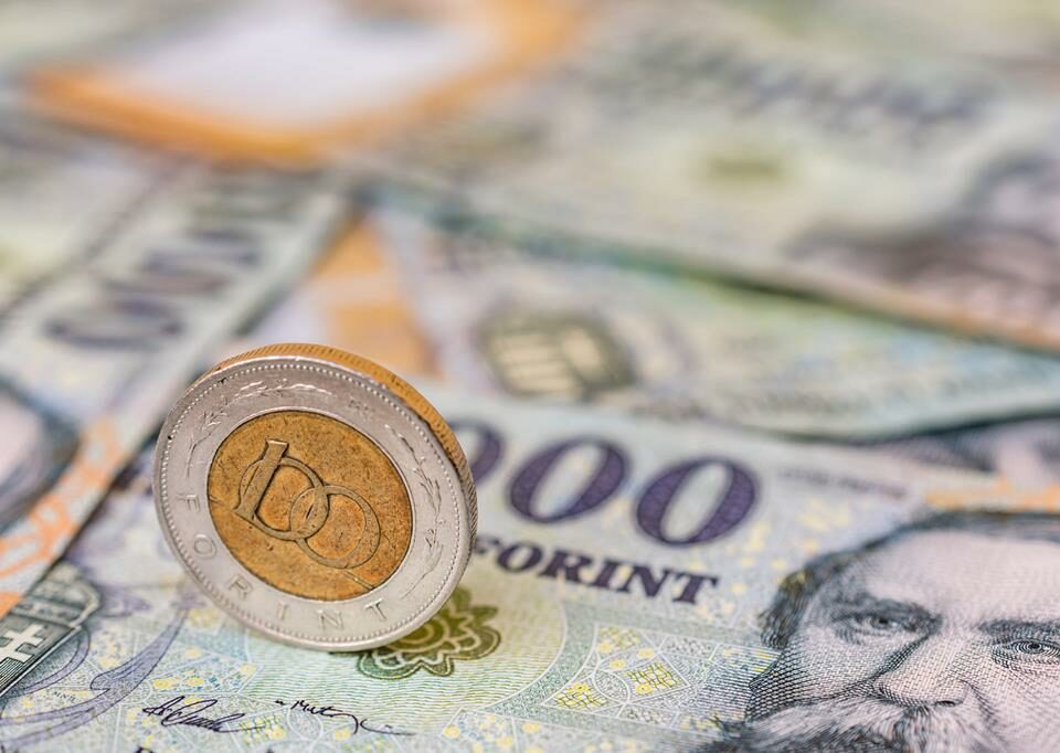 Форинт к евро в будапеште. 100 Forint. Все европейские валюты. Форинт к евро. Картинки 20000 года.