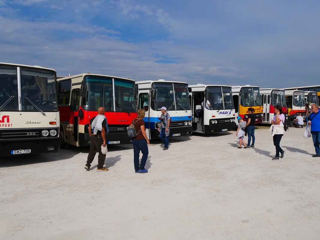 Hungarian buses