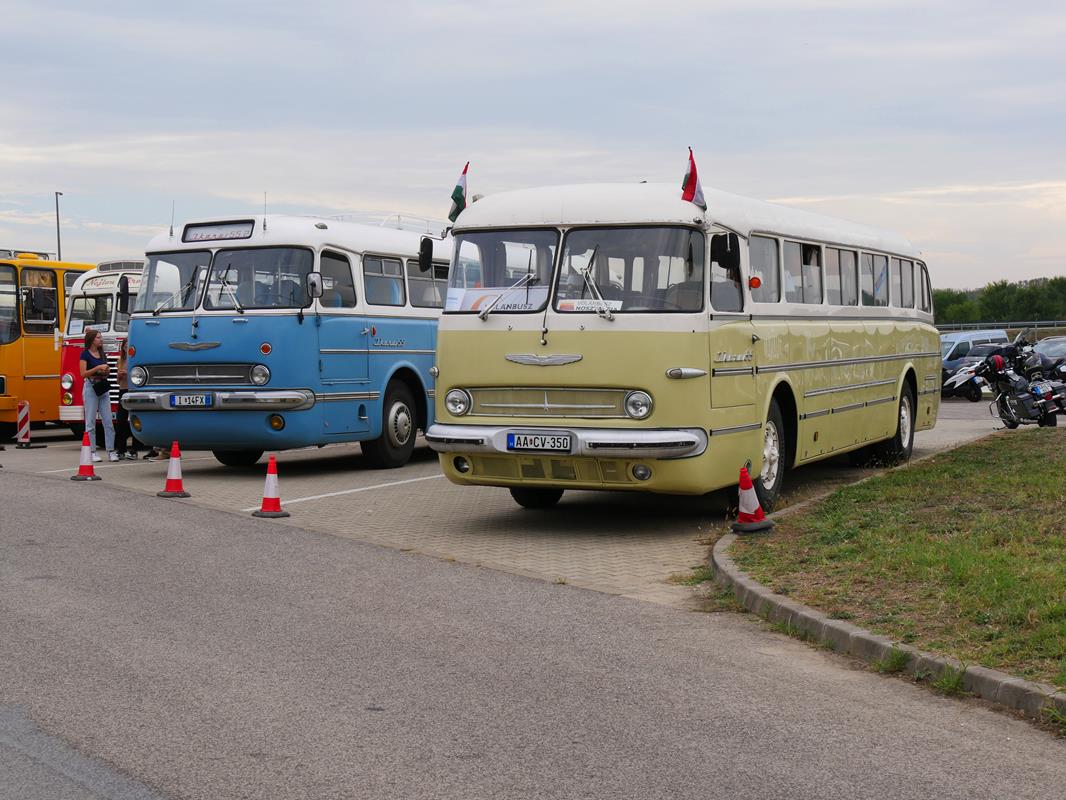 vintage buses 