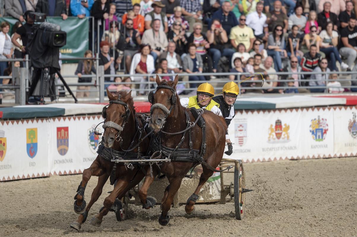 Nemzeti Vágta, a truly Hungarian horse race, 2023