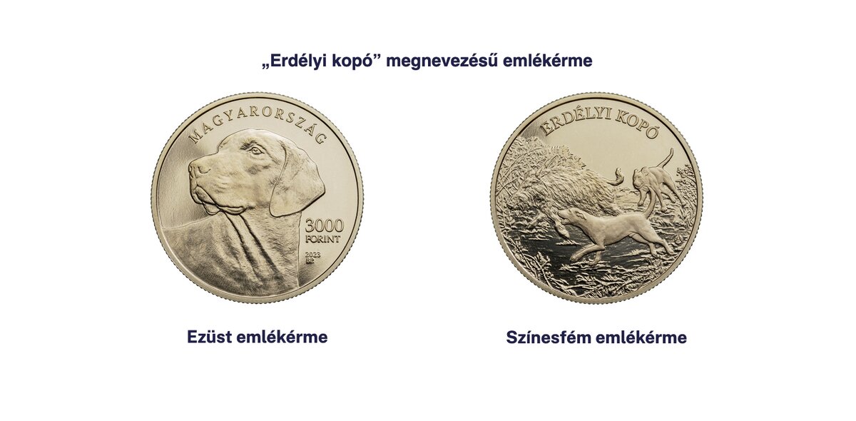 forint nová mince Transylvánský chrt