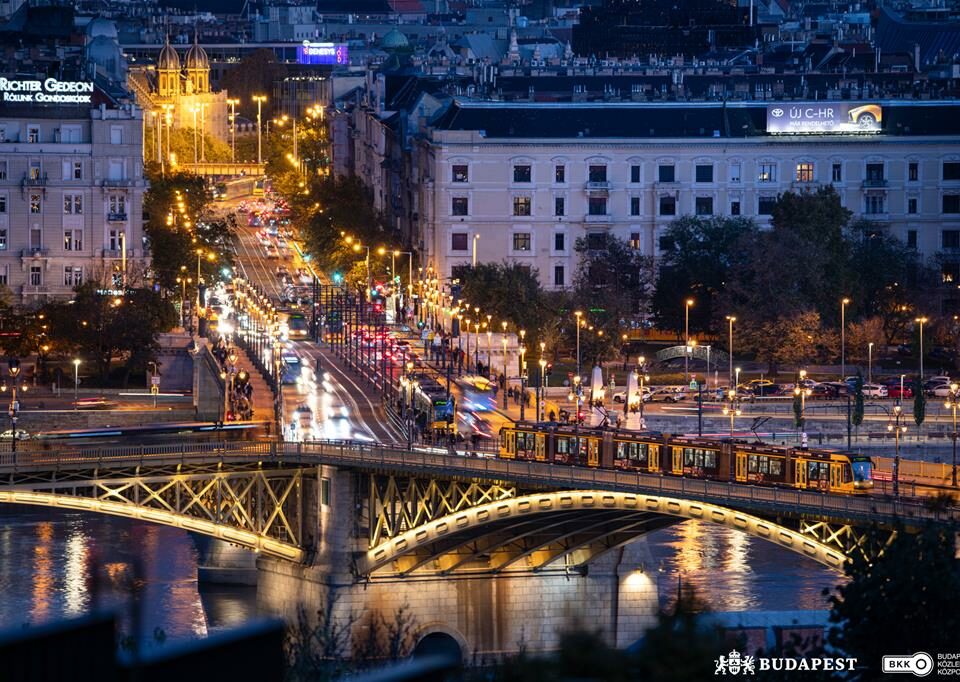 Budapest night