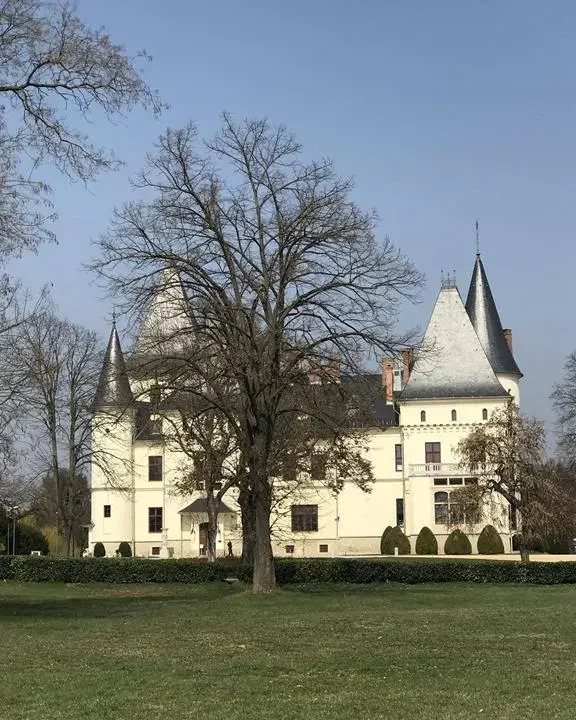 Hungarian fairy tale castle opens in December (Copy)