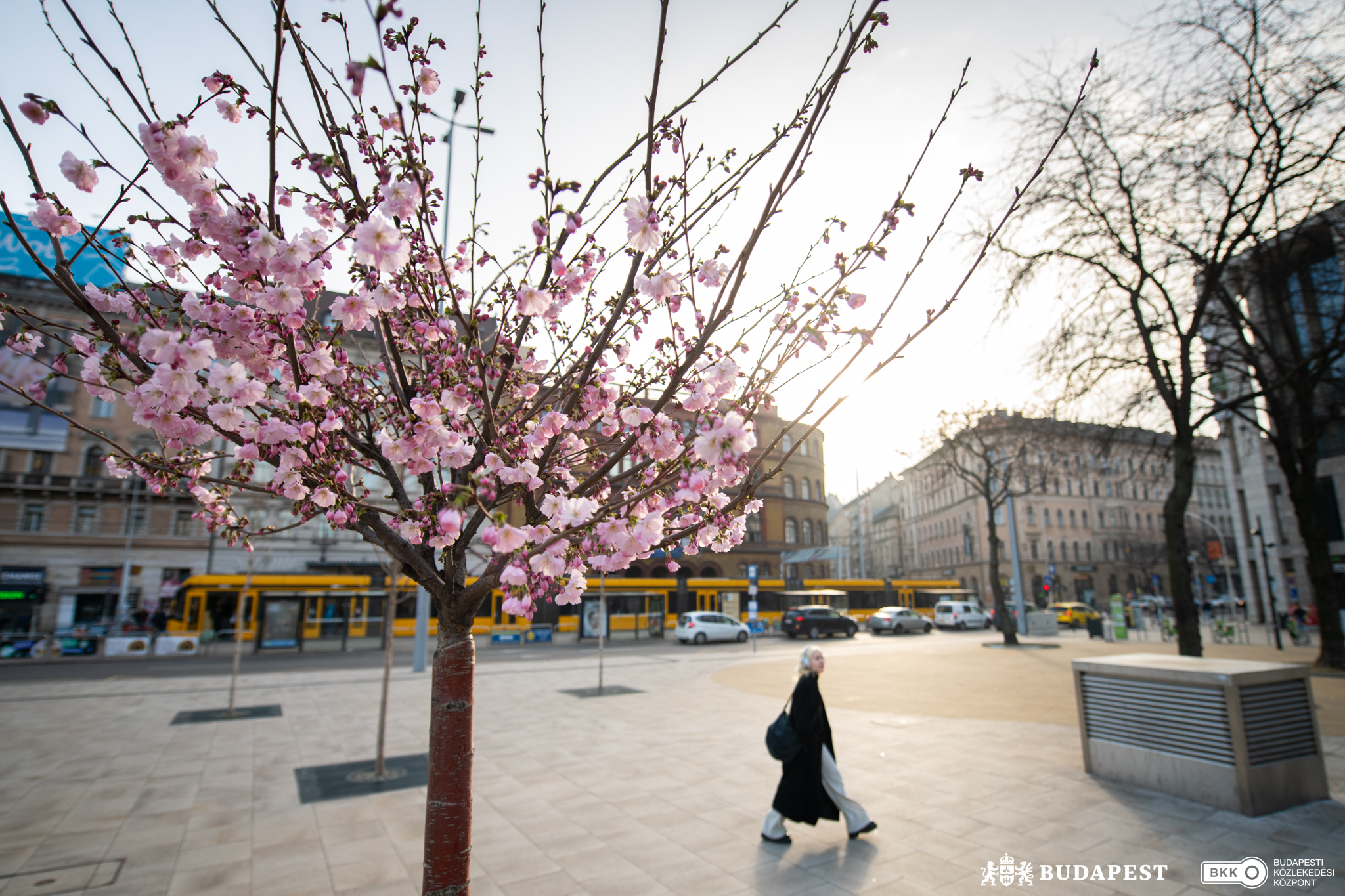 До Будапешта прийшла весна