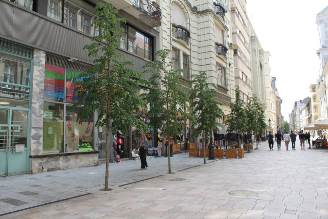 Vaci Street Bäume Renovierung Einkaufsstraße